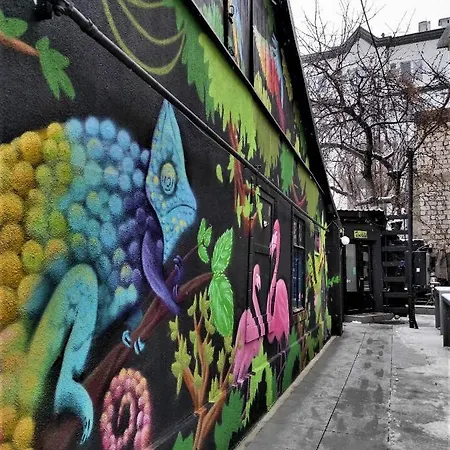 Bern Hostel Chişinǎu